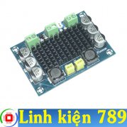 Mạch khuếch đại mono TPA3116D2 100W